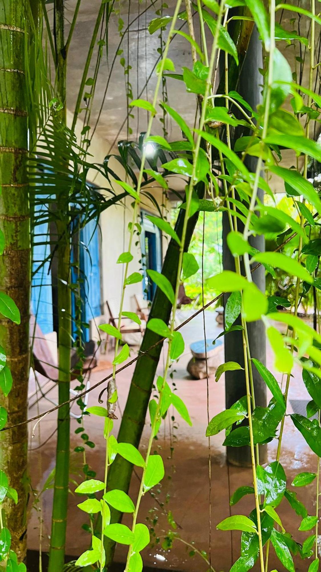 Kataragama Homestay Экстерьер фото