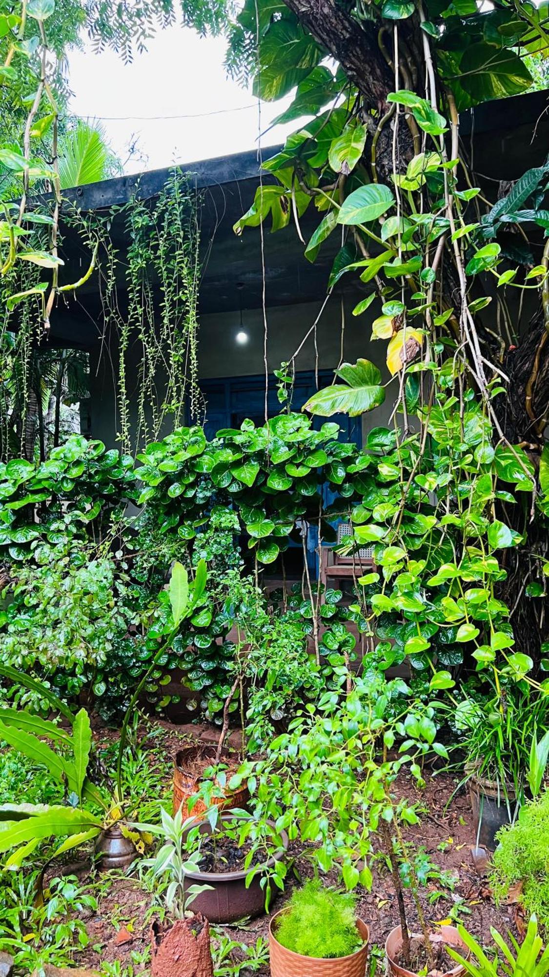 Kataragama Homestay Экстерьер фото