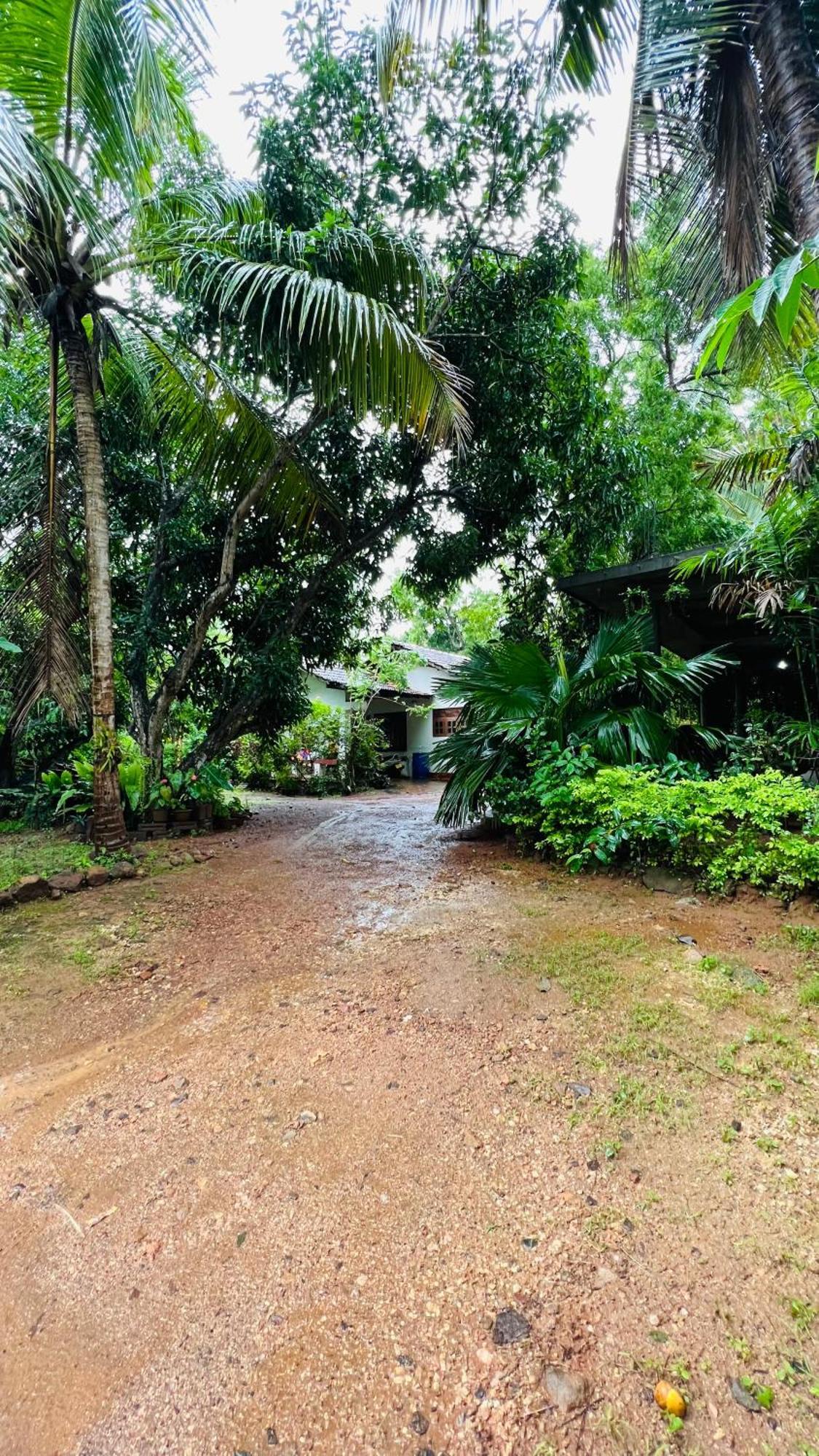 Kataragama Homestay Экстерьер фото