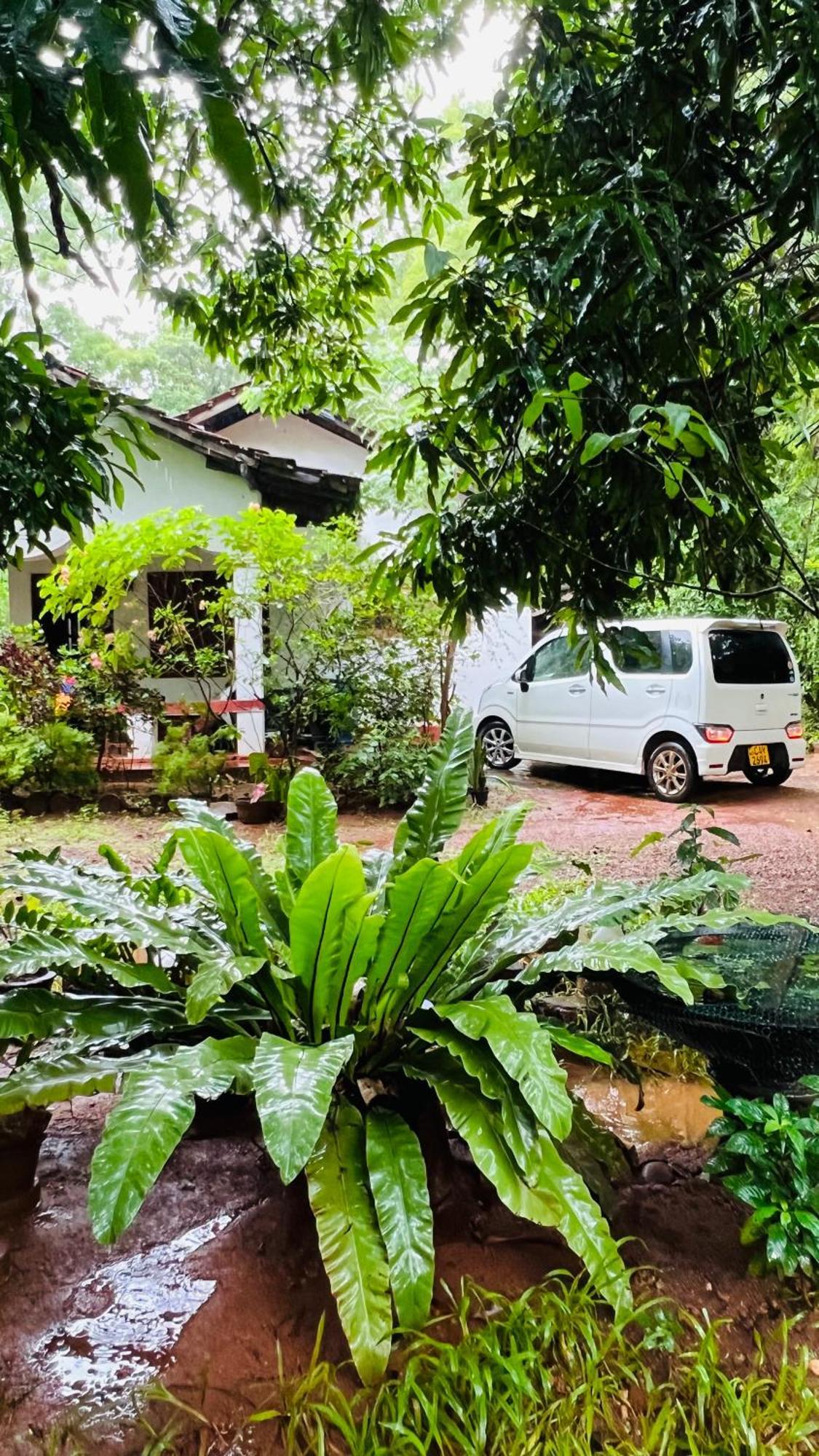 Kataragama Homestay Экстерьер фото