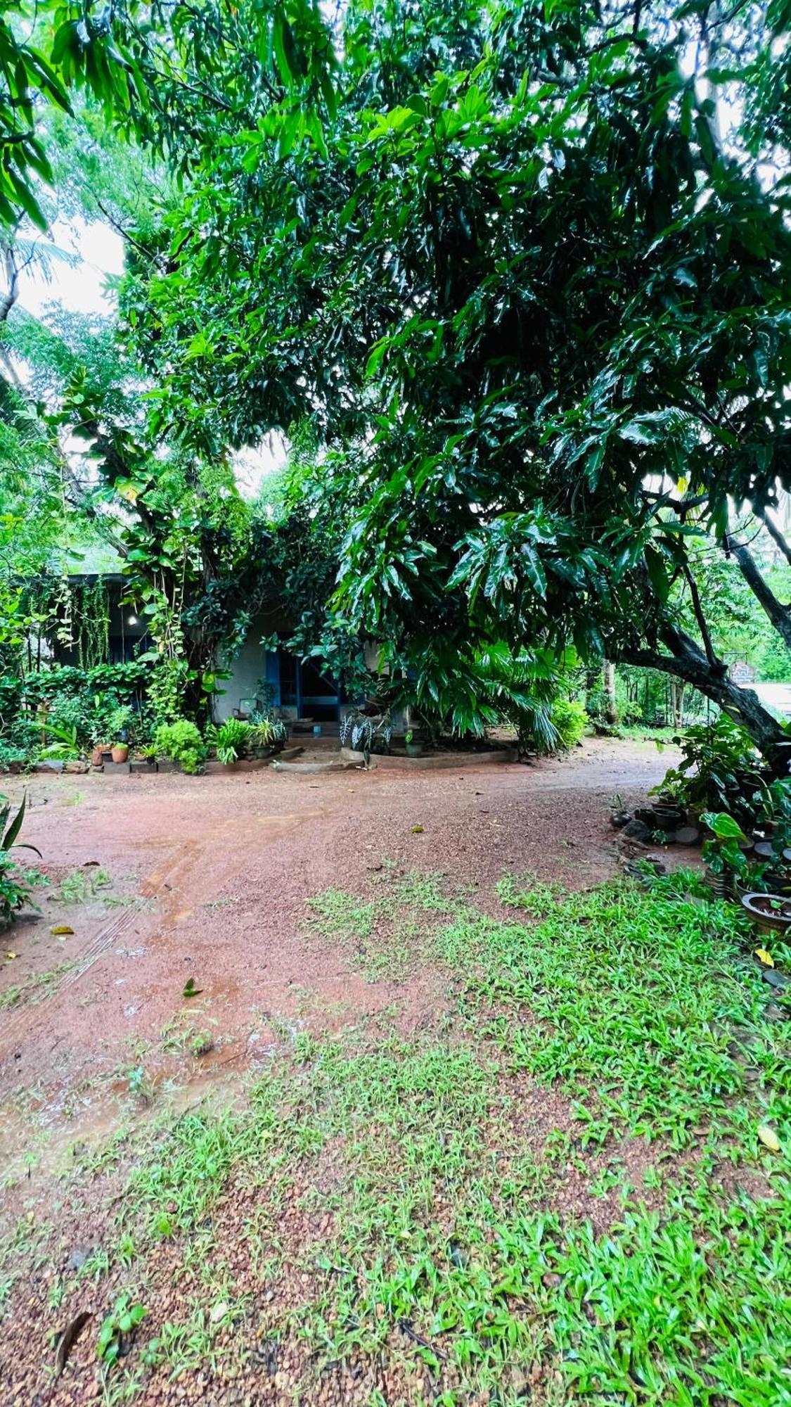 Kataragama Homestay Экстерьер фото