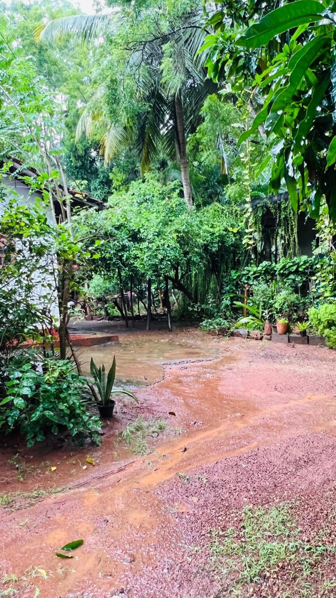 Kataragama Homestay Экстерьер фото