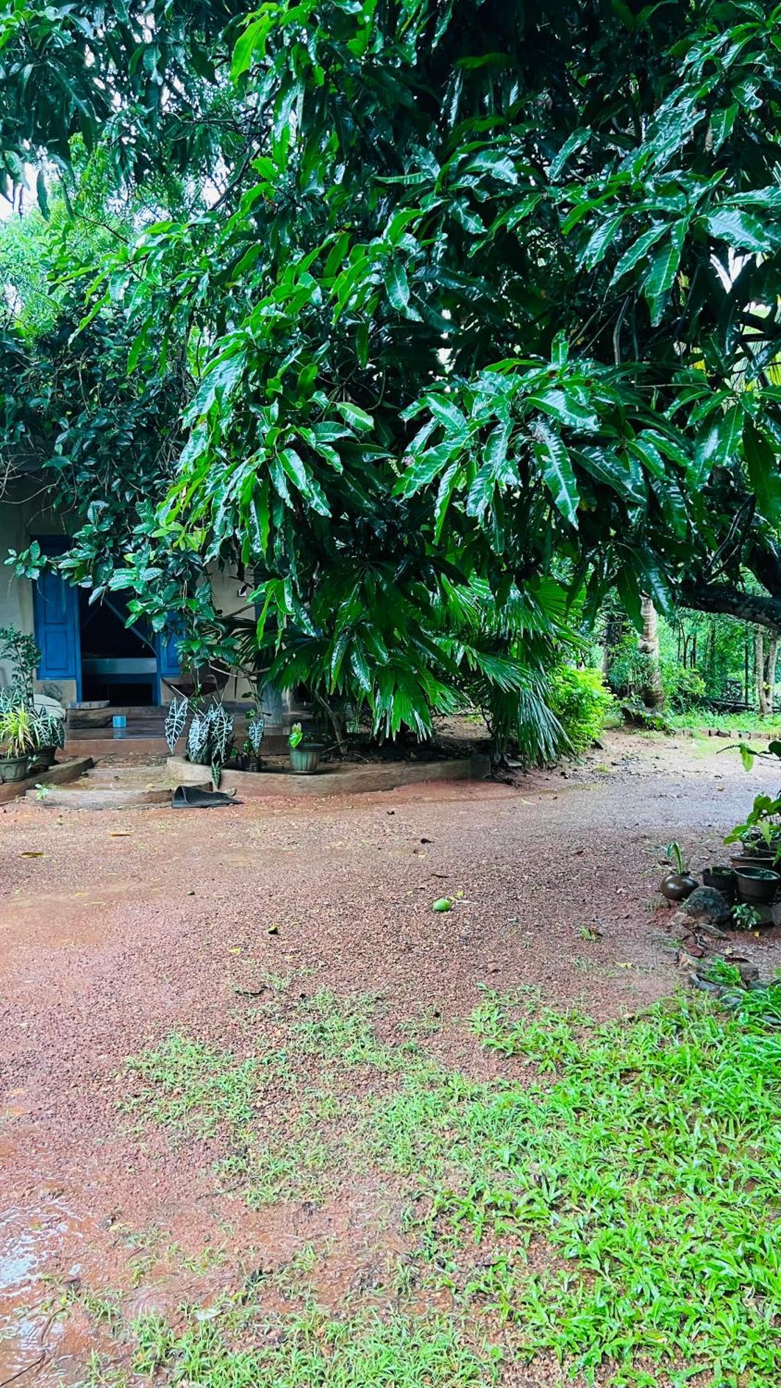 Kataragama Homestay Экстерьер фото