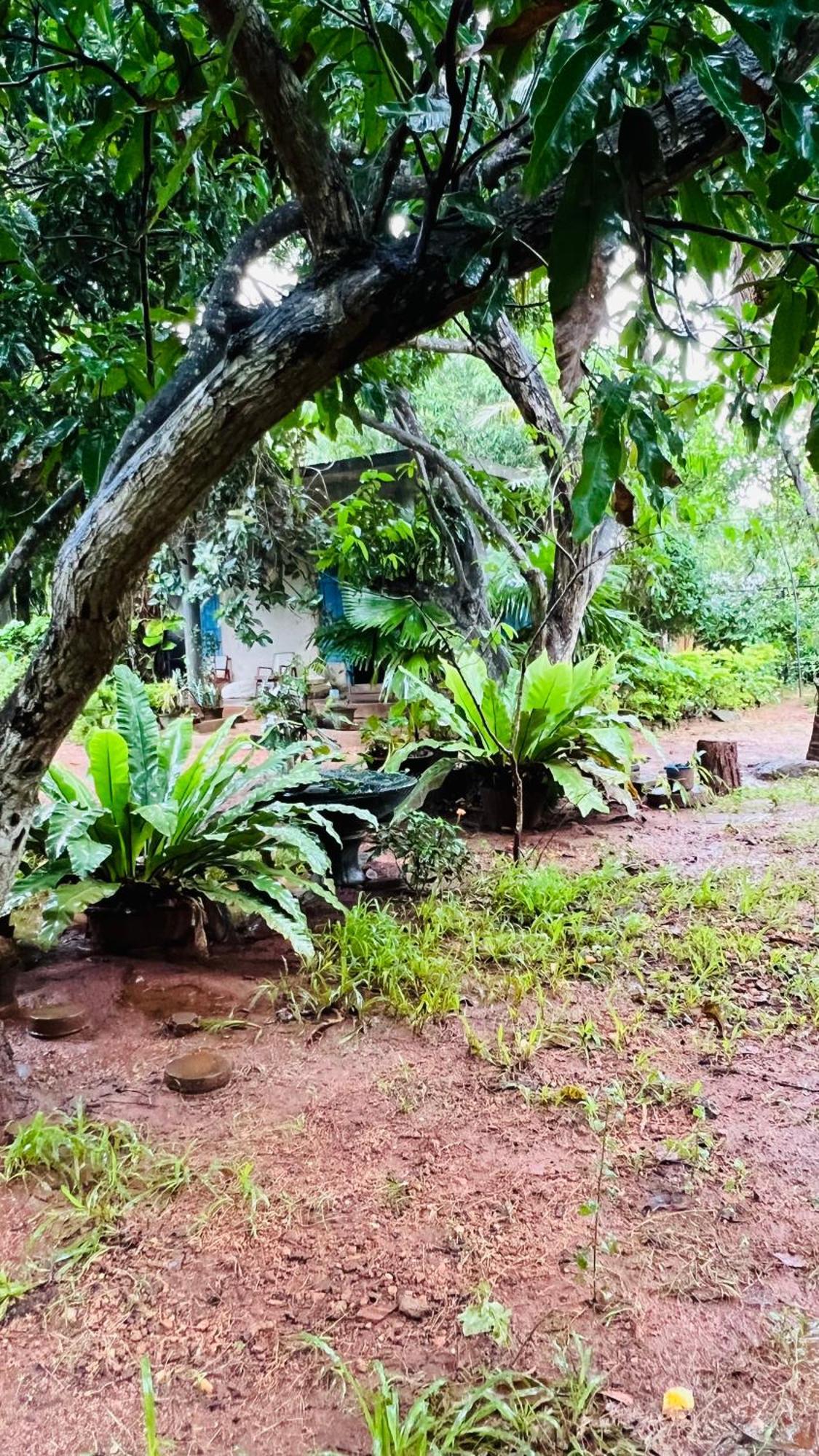 Kataragama Homestay Экстерьер фото