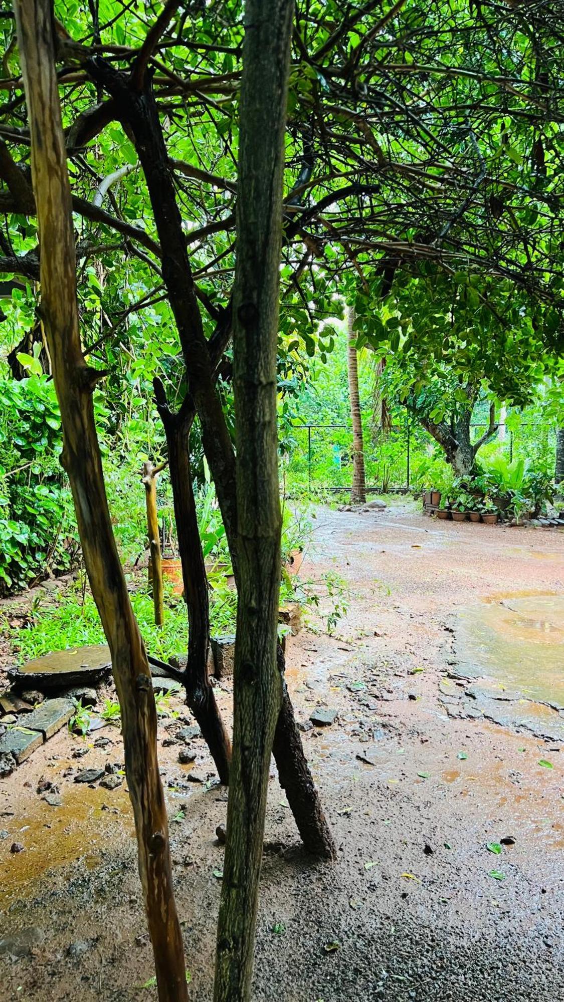 Kataragama Homestay Экстерьер фото